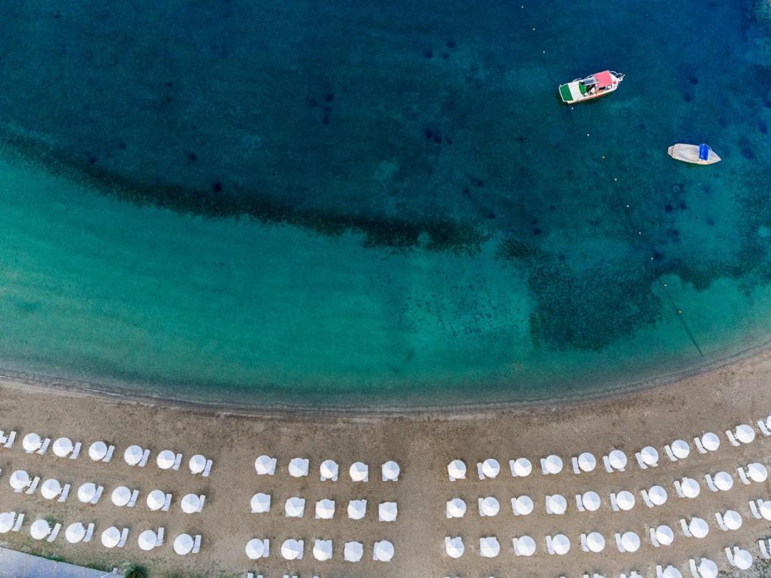Palmariva Beach Hotel Erétria Zewnętrze zdjęcie